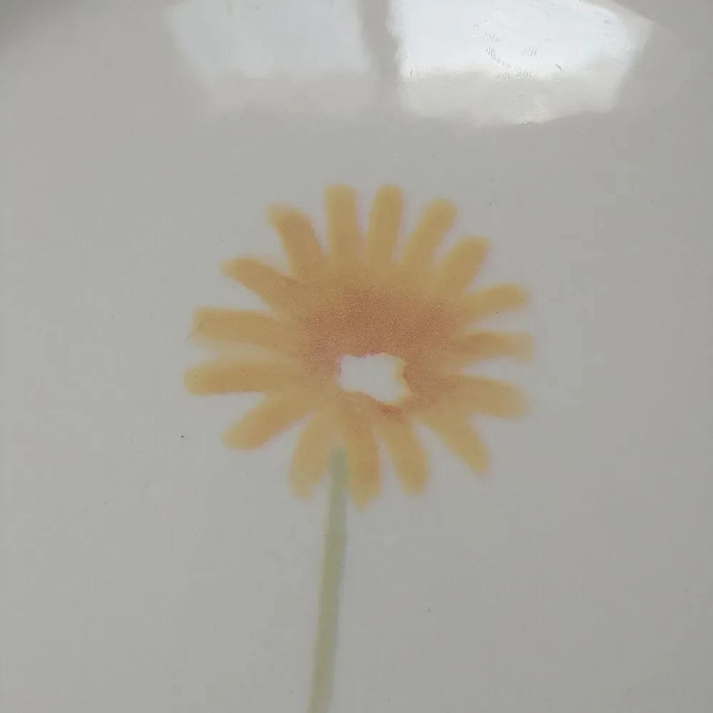 Royal Stafford Watercolour Fine Earthenware Dinner Plate Floral Pastel 2x 11